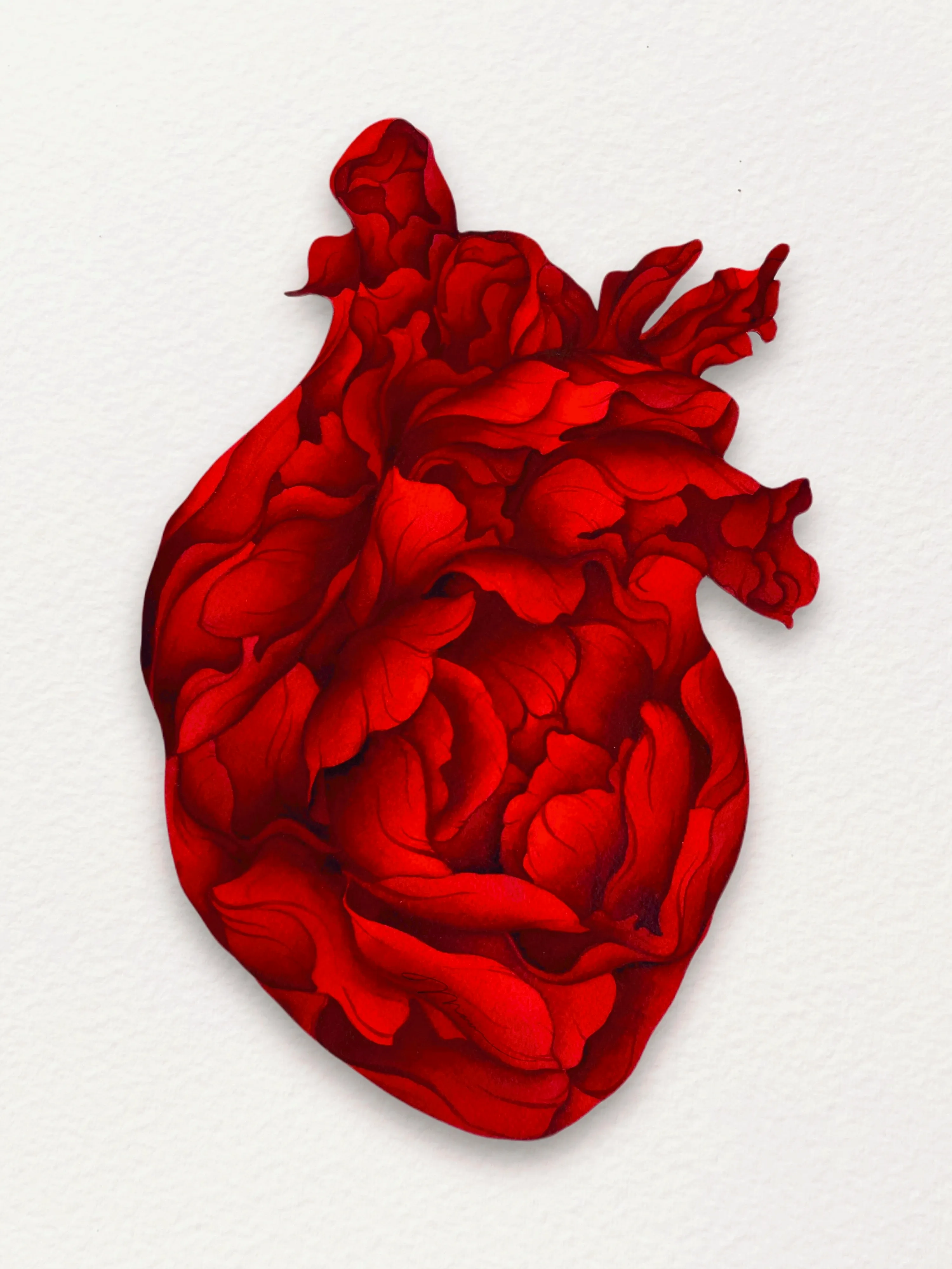 Heart's Journey