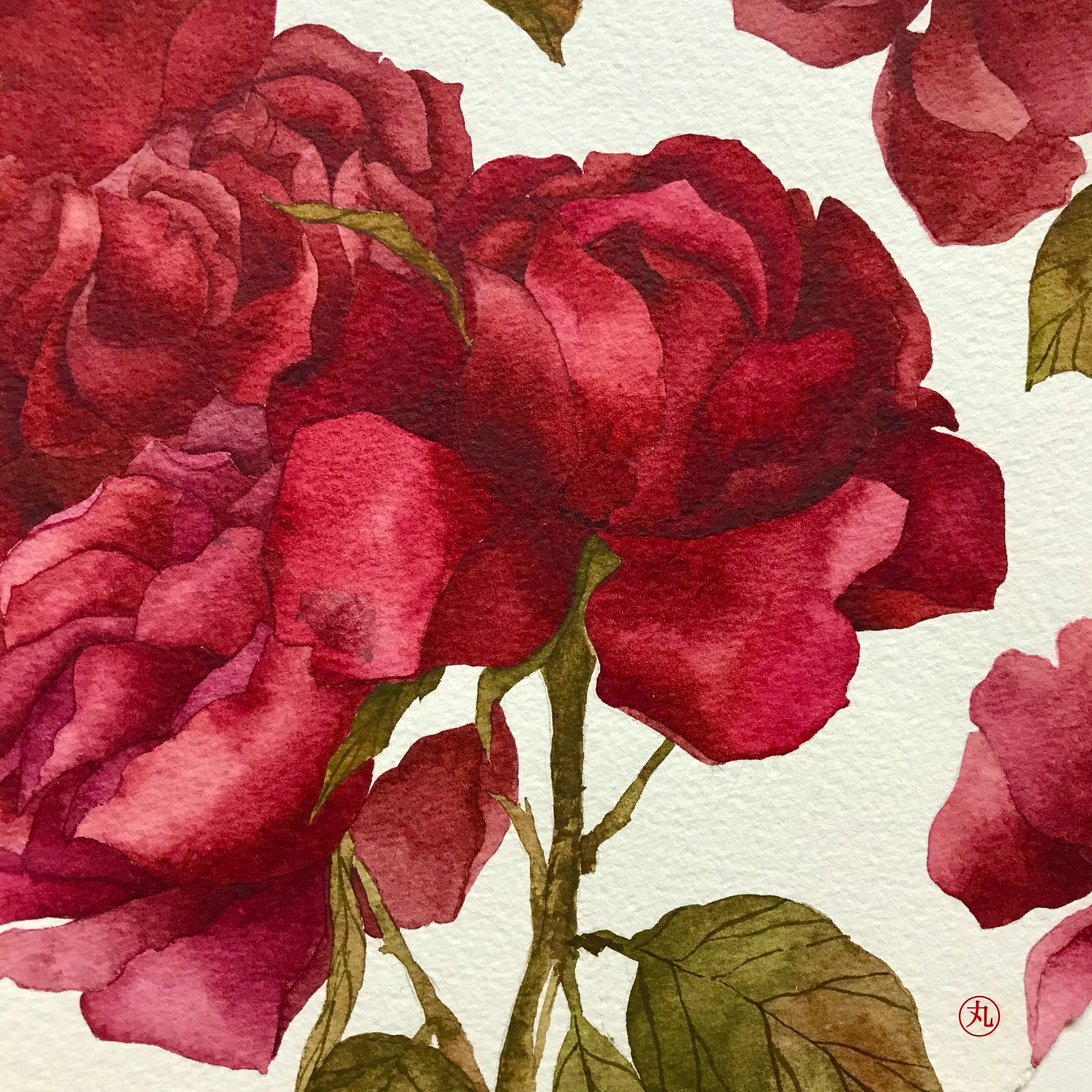 Rose Heus